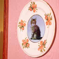 アンブリッジ教授のアフタヌーンティー/提供画像