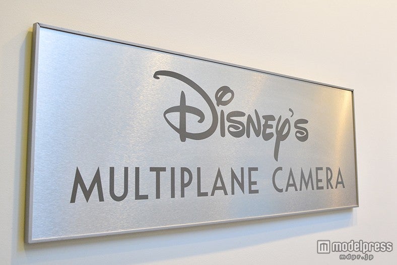 「FGW Multiplane Camera Photo」