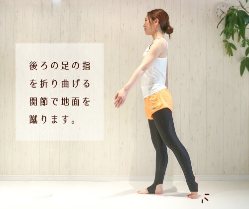 後ろの足の指を折り曲げる関節で地面を蹴りましょう。