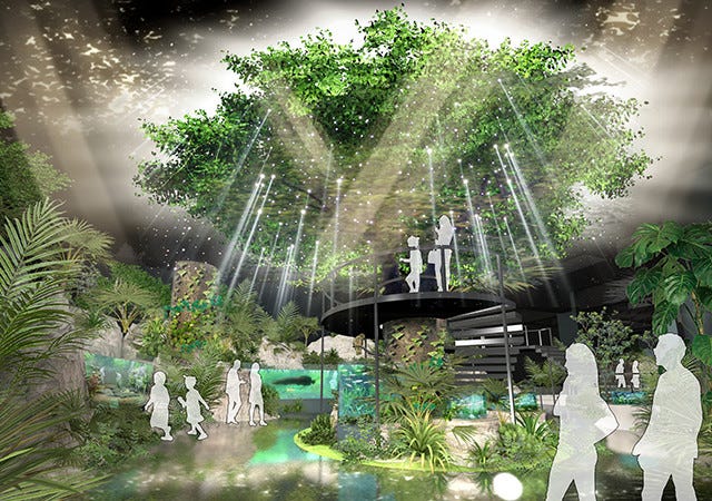 沖縄「DMMかりゆし水族館」2020年5月25日開業 5000点の動植物展示