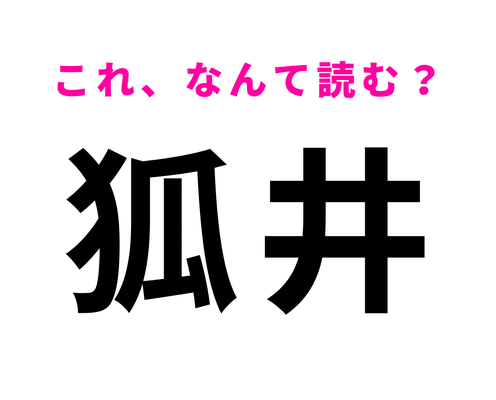 「狐井」はなんて読む?「狐」の読み方が意外すぎる!?