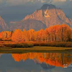 キャメロン・ディアスの新婚旅行先「ジャクソンホール」3つの魅力