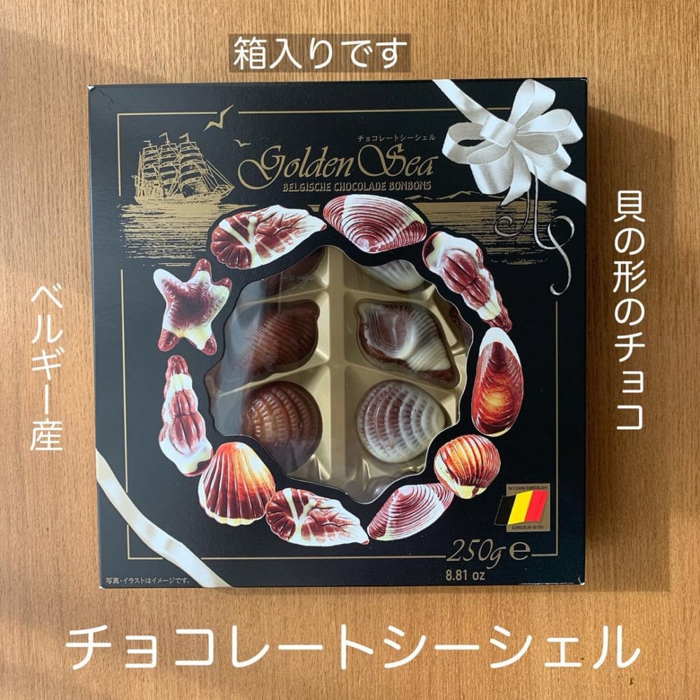 チョコレートシーシェル