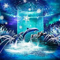 マクセルアクアパーク品川で冬イベント「ネイキッド スノウ アクアリウム」館内全体で“海のスノウドーム”表現