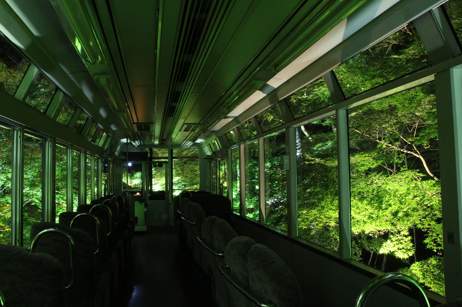 京都「もみじのトンネル」で初めての“深緑ライトアップ”