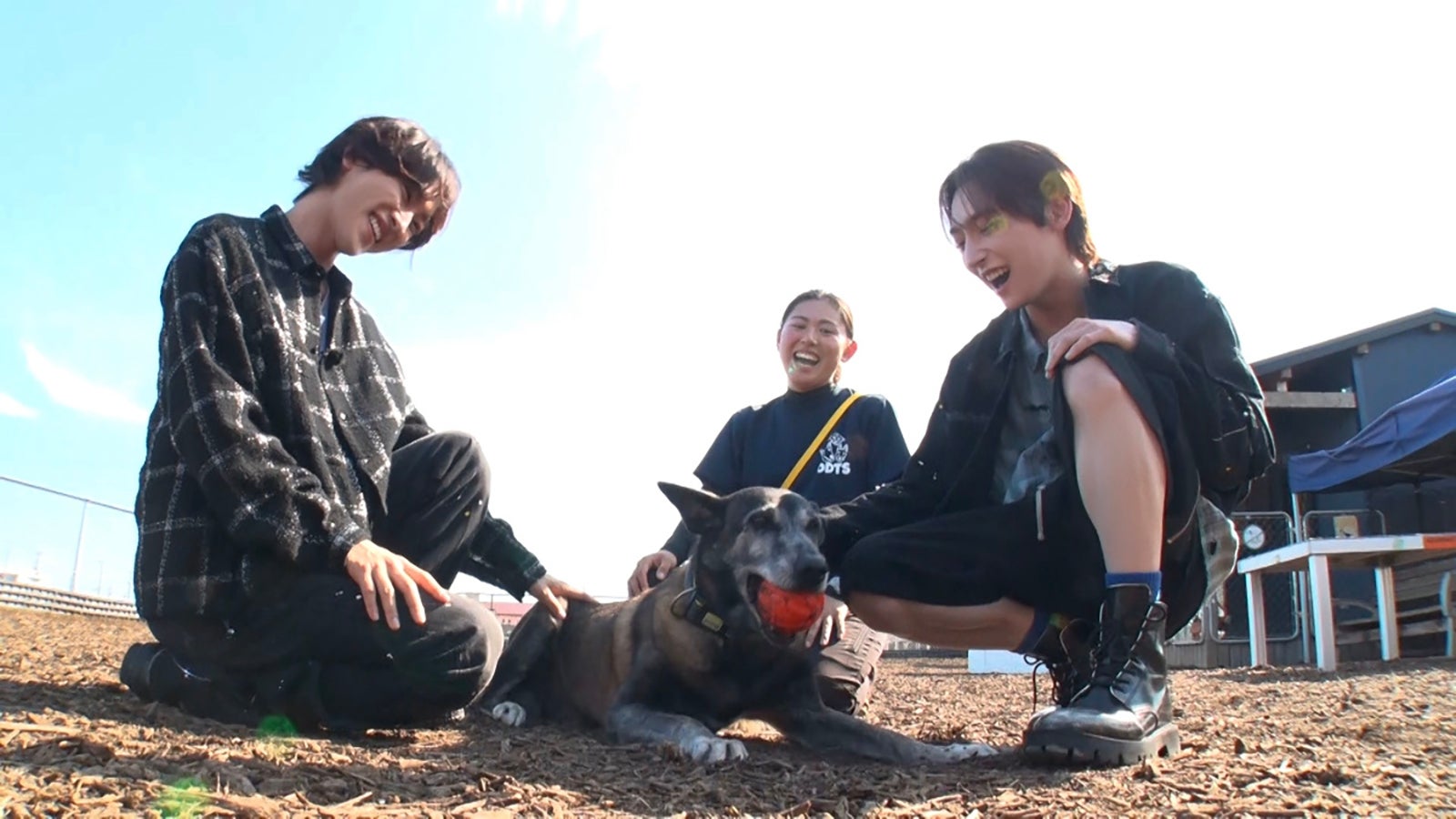 ROIROMの新企画始動 “活躍犬”を労うロケ挑戦＆感動の展開に