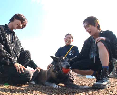 ROIROMの新企画始動 “活躍犬”を労うロケ挑戦&感動の展開に