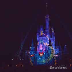 「Celebrate！Tokyo Disneyland」（C）モデルプレス（C）Disney