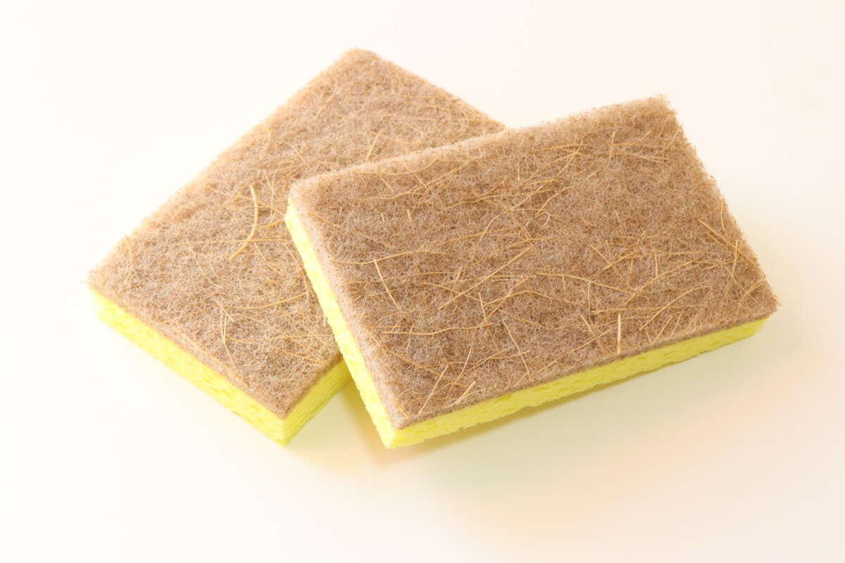 ダイソー ココナッツスクラブセルローススポンジ(2個) ダイソーのココナッツスクラブセルローススポンジ(2個)のビジュアル