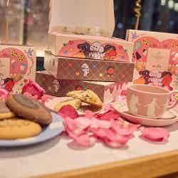 チアフルチョコチップクッキー/提供画像