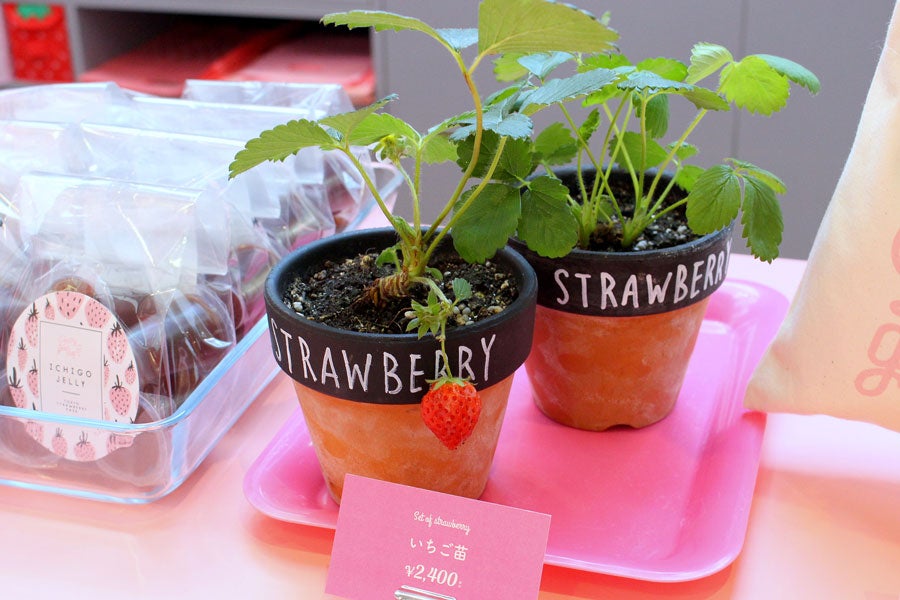 東京ストロベリーパーク ショップ