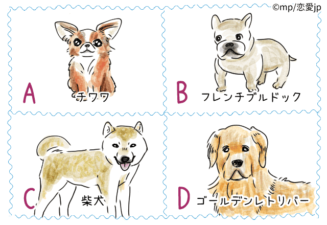 心理テスト 実は警戒心アリ 好きな犬種で分かるあなたの 人懐っこさ モデルプレス 心理テスト 実は警戒心アリ 好きな犬種で分かるあなたの 人懐っこさ モデルプレス