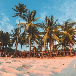 夏を連想させるアーティストランキング モデルプレス