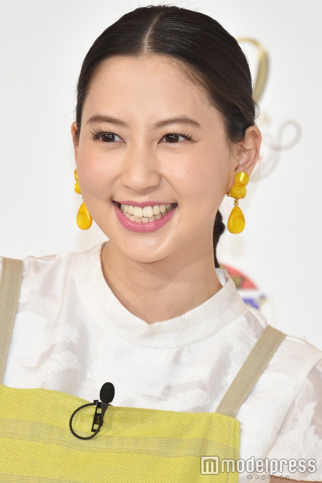 安い 河北麻友子 可愛いエプロン