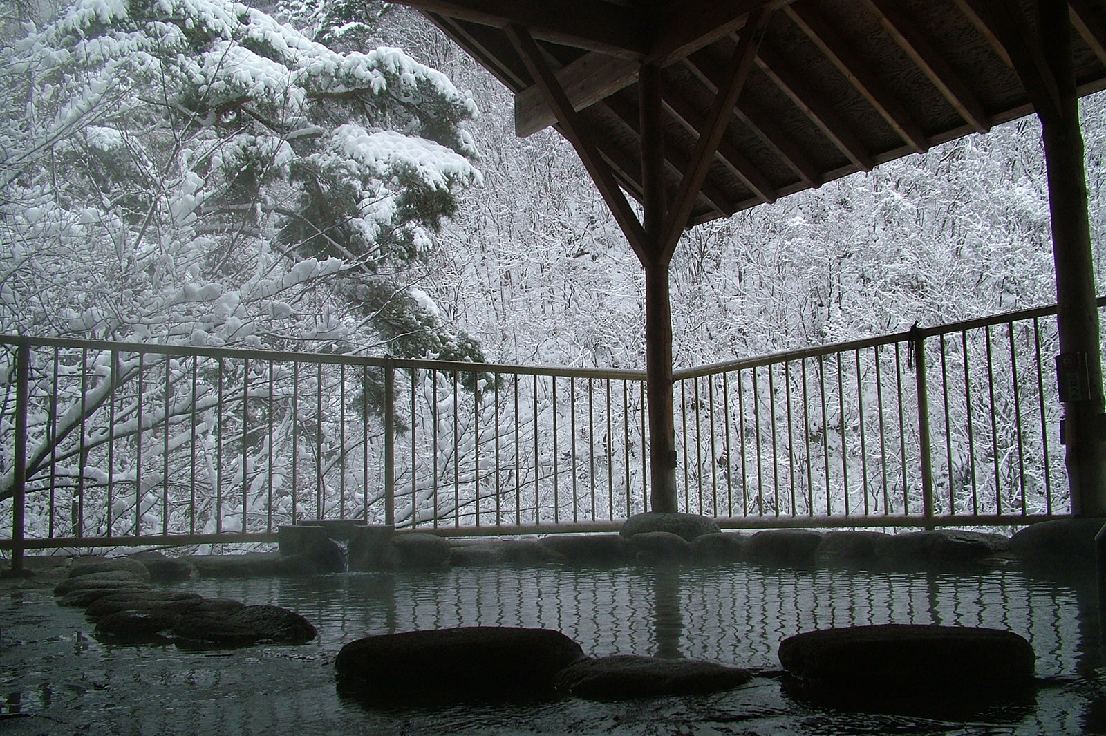 大川荘／画像提供：大川荘