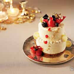 「松屋銀座のクリスマス インスタグラム フォトコンテスト」でキュートで美味しいケーキをゲット