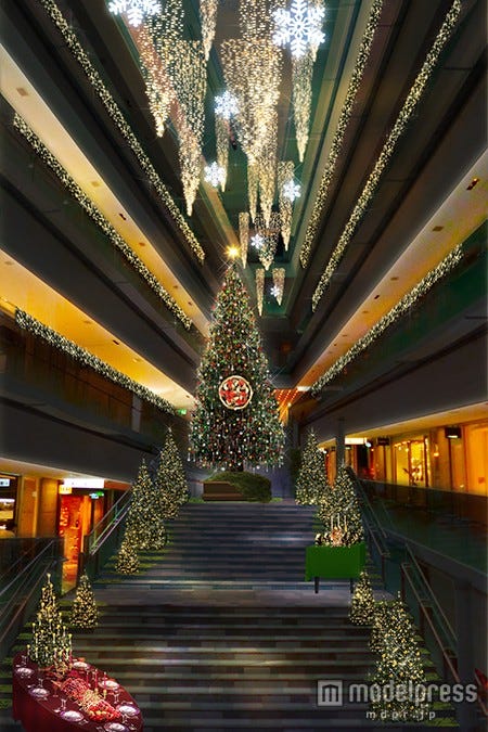 豪華クリスマスツリーが表参道を華やかに彩る テーマは「クリスマスパーティー」