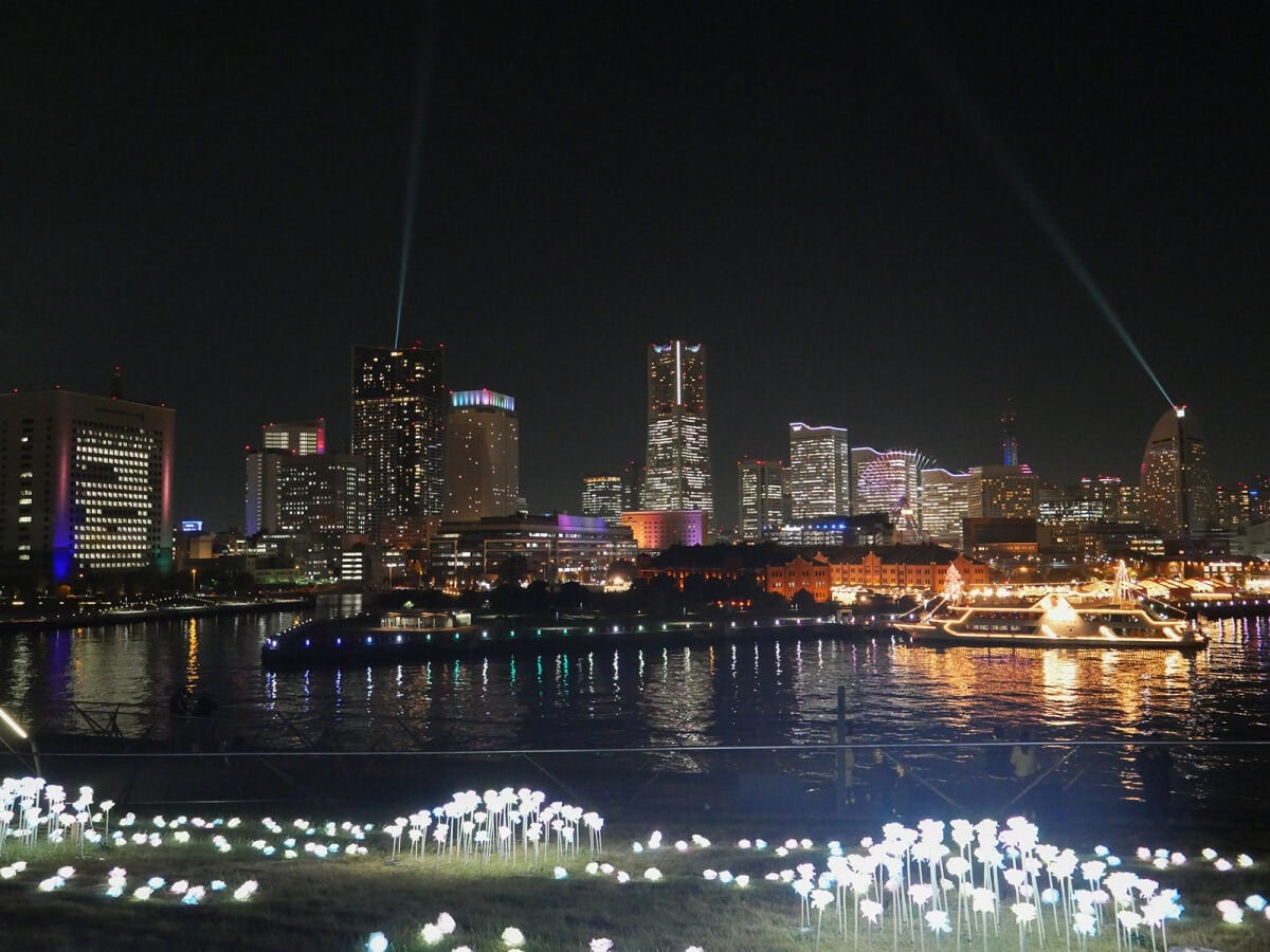 立体的な演出が加わった「光のローズガーデン」