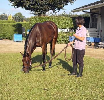 「前川厩舎の2歳が勝ちまくっている。何で？」 馬の良さを引き出す「企業秘密」にせまる