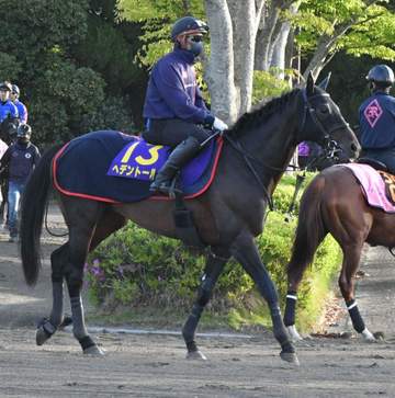 【天皇賞】ヘデントール 馬場回復を願う 木村師「大きなフットワークで走るし、少しでも乾いて」