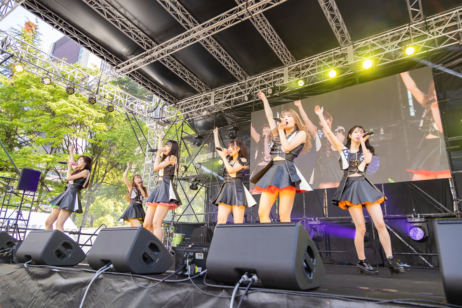 ワンダーウィード天（提供写真）