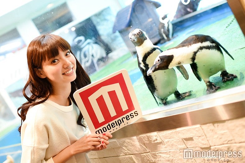 新川優愛（C）モデルプレス