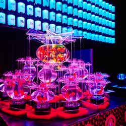 過去作品画像「大奥」/画像提供:アートアクアリウム