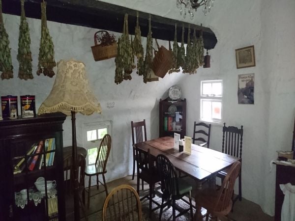 ポントオーク／画像提供：DREAMTON