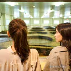 蔵の見学で醤油ができるまでを学ぶ(C)モデルプレス