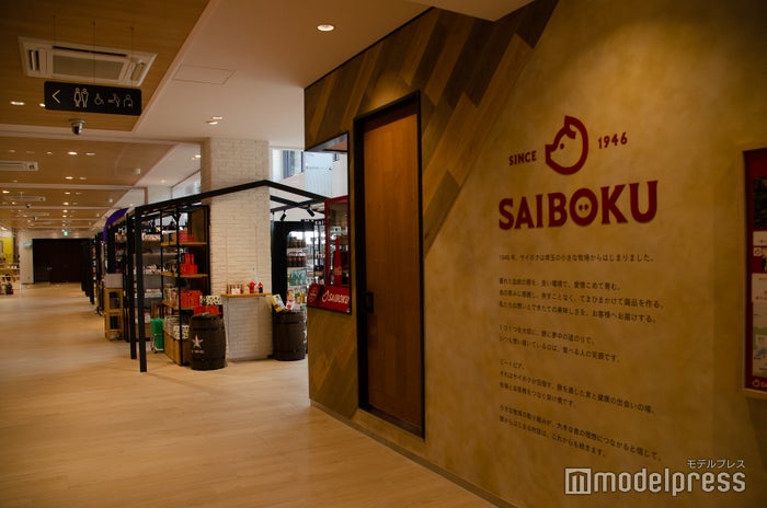 メッツァビレッジ（C）ビューティーガール