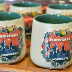 (C)モデルプレス