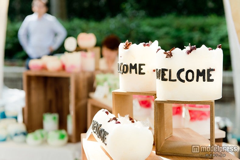 earth garden過去開催時の様子／画像提供：earth garden