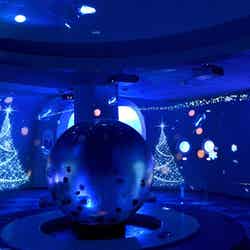 海月の宇宙～クリスマス～／画像提供：新江ノ島水族館