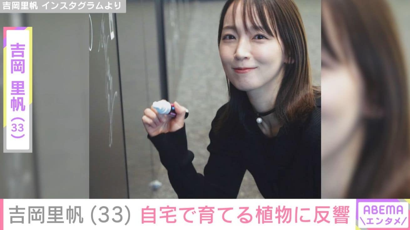 吉岡里帆（33）、“パワースポット”の自宅で育てる植物を公開 「やっぱりセンス良いんだなぁ～」と反響
