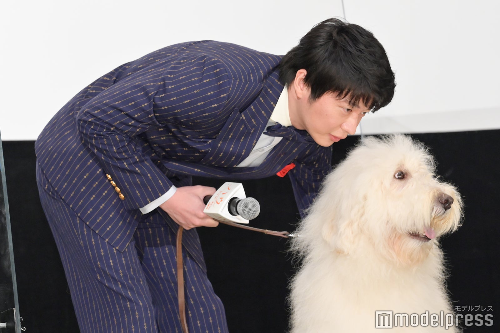 ベックを落ち着かせる田中圭（C）モデルプレス