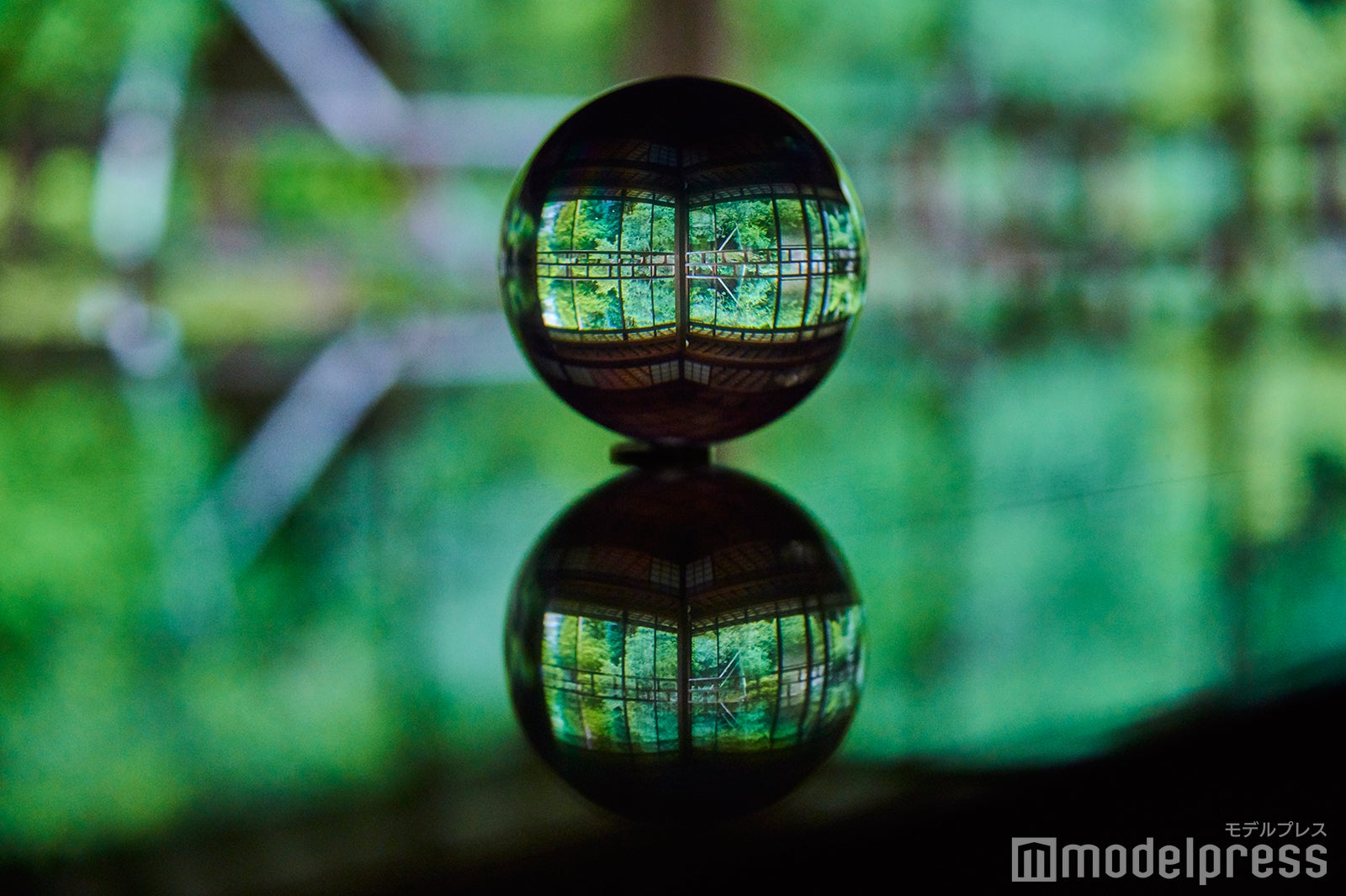 こんな写真が撮れたらいいねが止まらない （C）モデルプレス