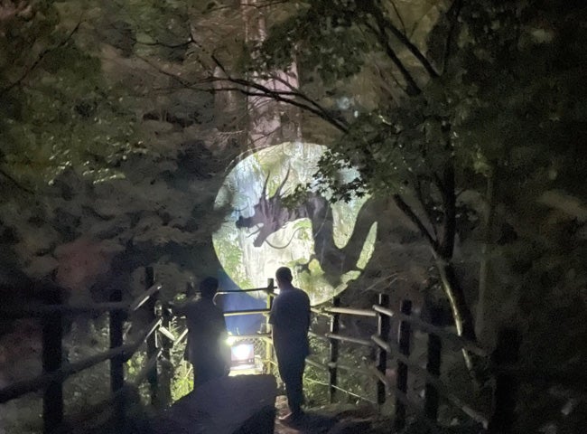 天龍峡ナイトミュージアム／画像提供：天龍峡温泉観光協会