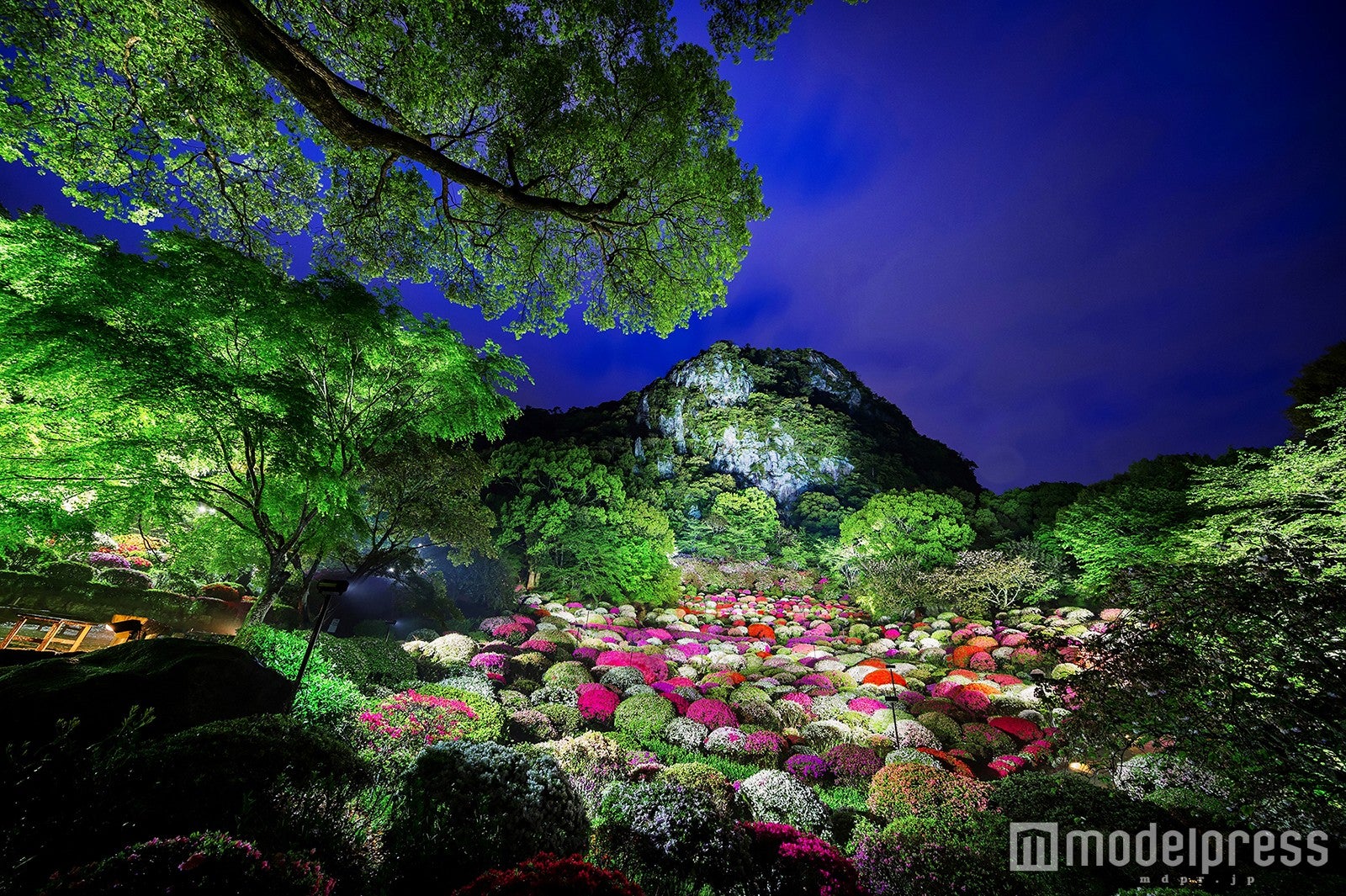 ／御船山観光ホテル