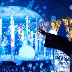 MIDTOWN CHRISTMAS 2022/画像提供:東京ミッドタウンマネジメント