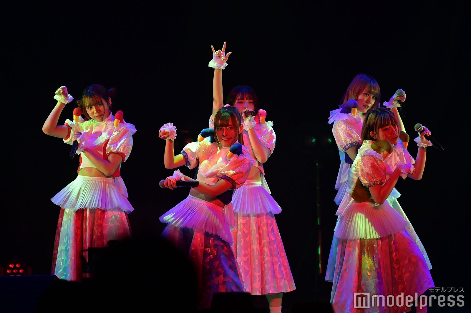 豆柴の大群（C）モデルプレス