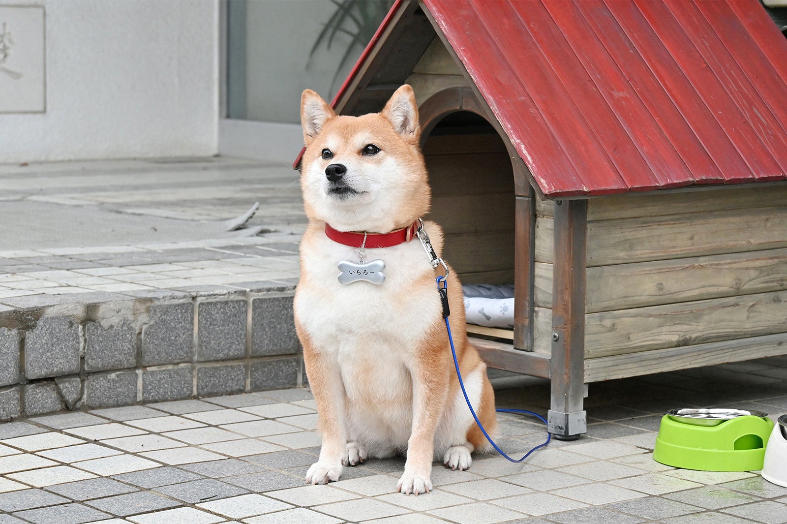 「花咲舞が黙ってない」第4話より（C）日本テレビ