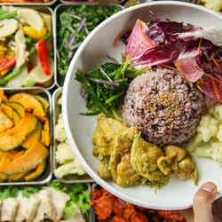 VEGEGO/画像提供:小田急電鉄