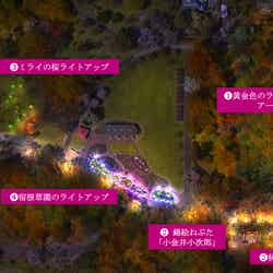 花と光のムーブメント 小金井公園ナイトパーク ワンダー/提供素材