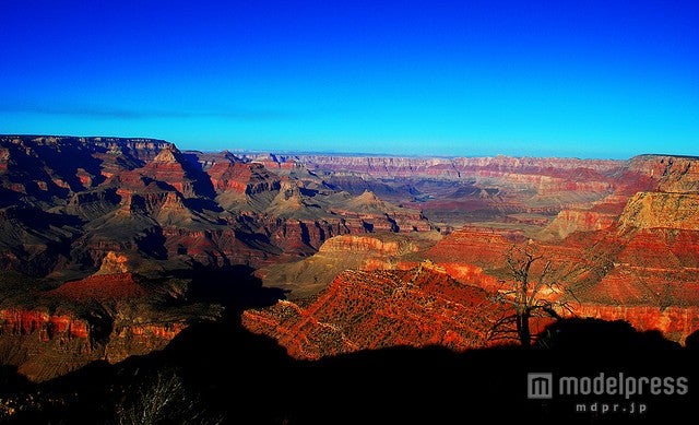 グランドキャニオン／photo by B Rosen