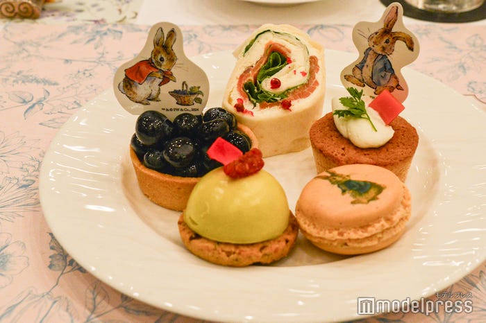 (左奥から)妹たちが摘んだブルーベリーレアチーズタルト、ねんねこロール(スモークサーモンのトルティーヤロール)、キャロットケーキ、ベンジャミンのピスタチオムース、ピーターラビットのマカロン(C)モデルプレス