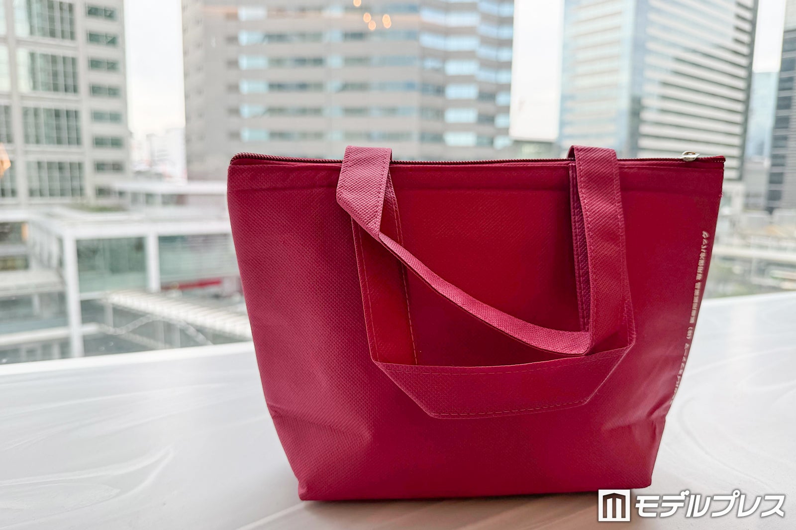 保冷バッグ（C）モデルプレス