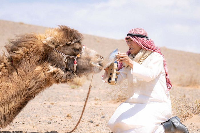 堺雅人「VIVANT」第3話より(C)TBS