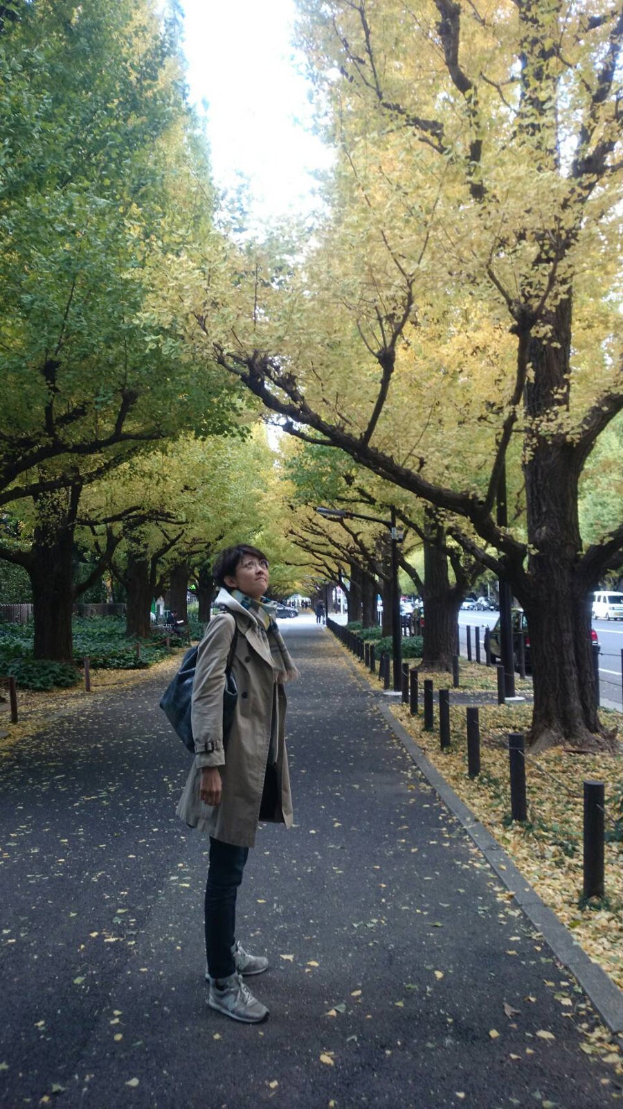 散歩が好きです。外苑いちょう並木にて（提供写真）