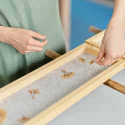 押し花を置いて、和紙にデザインを施していきます/提供画像