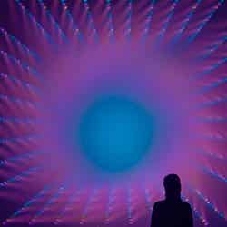 森ビル デジタルアート ミュージアム:エプソン チームラボボーダレス(C)チームラボ